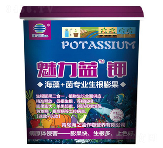 �����{(l��n)�-��֮�{(l��n)