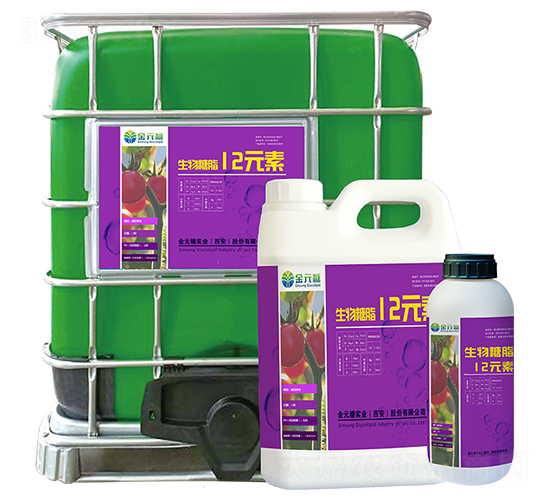 ������֬12Ԫ��-��Ԫ�ǌ�(sh��)�I(y��)