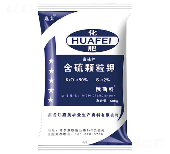 �����w���-�δ�-����