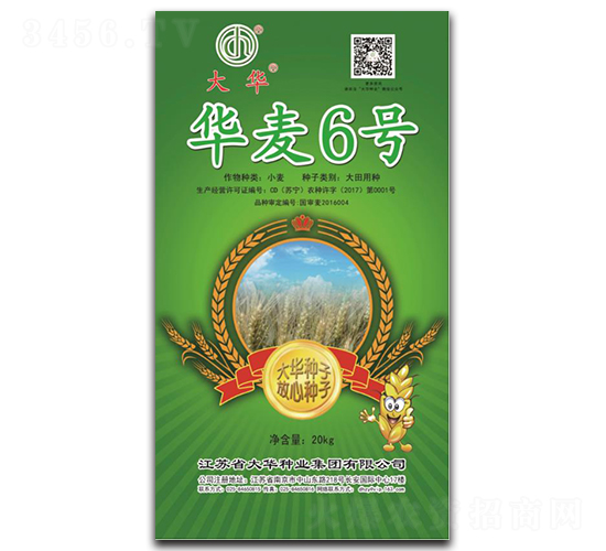 �A��6̖(h��o)-С���N��-���A�N�I(y��)