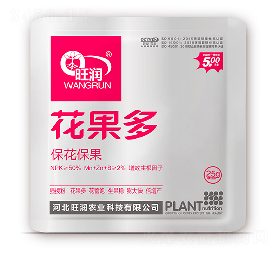 �����ࣨ����������-����