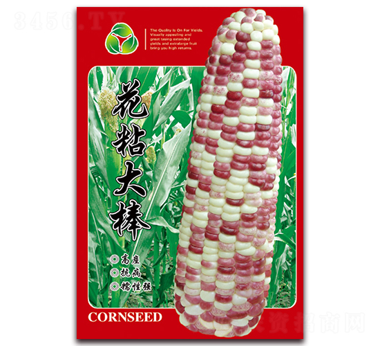 ��ճ���-Ŵ���׷N��-���ǷN�I(y��)