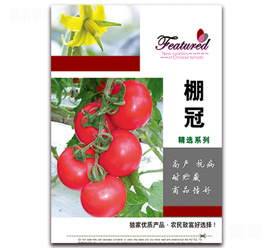 ���-���t���N��-���ǷN�I(y��)