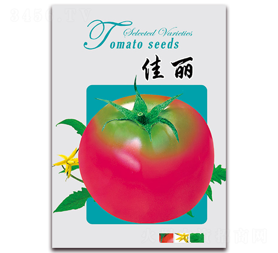 ����-���t���N��-���ǷN�I(y��)