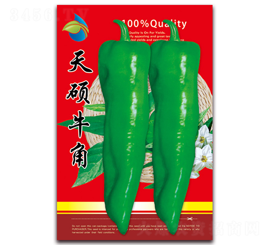 ��Tţ��-�����N��-���ǷN�I(y��)