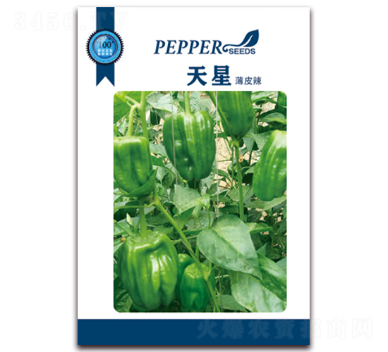 ���Ǳ�Ƥ��-�����N��-���ǷN�I(y��)