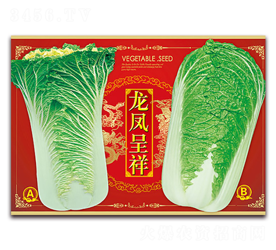 ���P����-�ײ˷N��-���ǷN�I(y��)