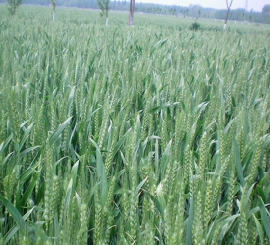 ����608-С���N��-�S���N�I(y��)