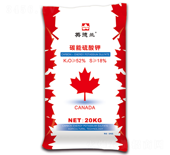 ̼�������-Ӣ���m-��h����