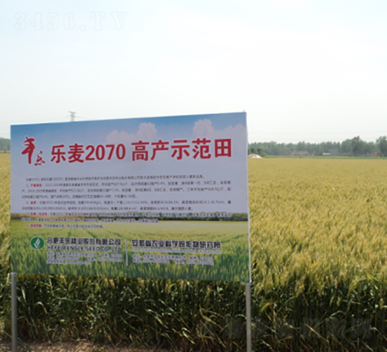 ����207-С���N��-�S���N�I(y��)