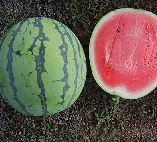 �ۼ�-���ϷN��-�S���N�I(y��)