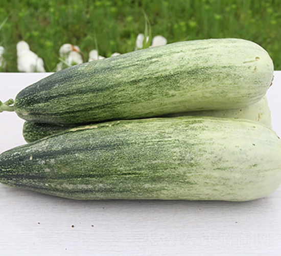 �S�����-��ϷN��-�S���N�I(y��)