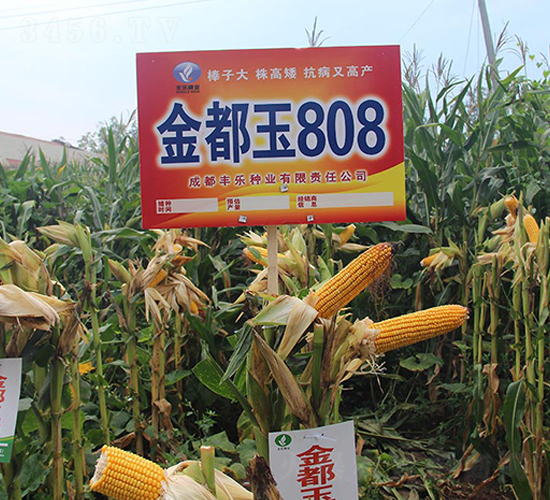 ����808-���׷N��-�S���N�I(y��)