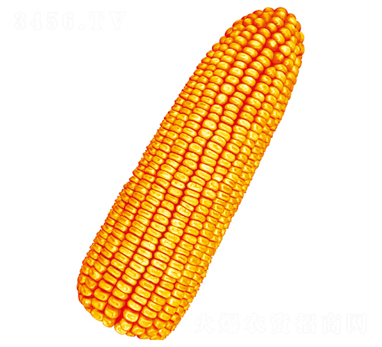 혆�7̖(h��o)-���׷N��-�S���N�I(y��)