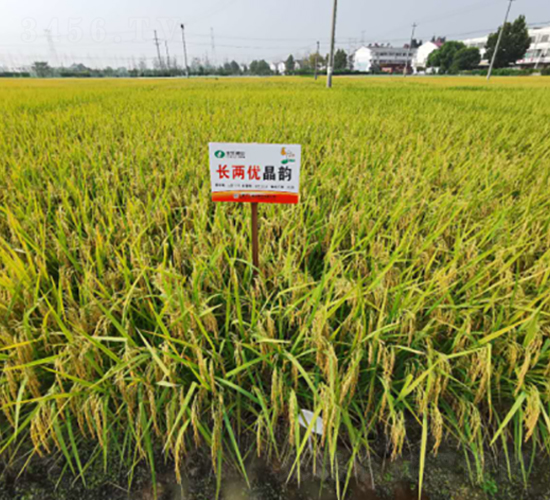 �L�Ƀ�(y��u)���-ˮ���N��-�S���N�I(y��)