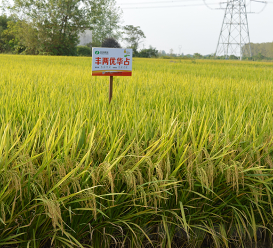 �S�Ƀ�(y��u)�Aռ-ˮ���N��-�S��(l��)�N�I(y��)