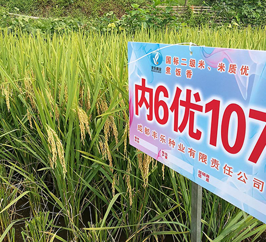 ��(n��i)6��(y��u)107-ˮ���N��-�S���N�I(y��)