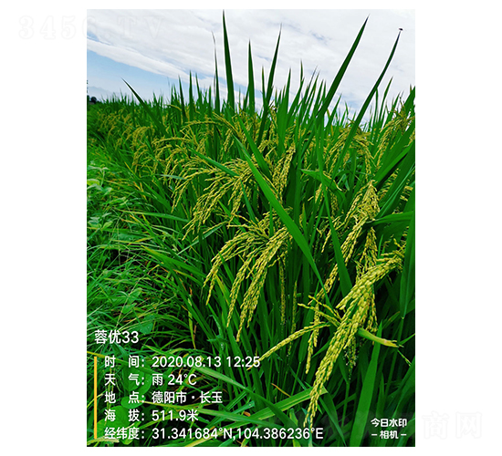 �؃�(y��u)33-ˮ���N��-�S��(l��)�N�I(y��)