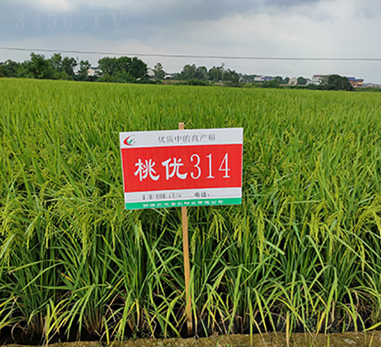 �҃�(y��u)314-ˮ���N��-�S��(l��)�N�I(y��)