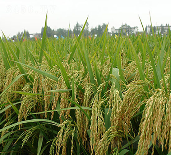 ̶�Ƀ�(y��u)83-ˮ���N��-�S���N�I(y��)