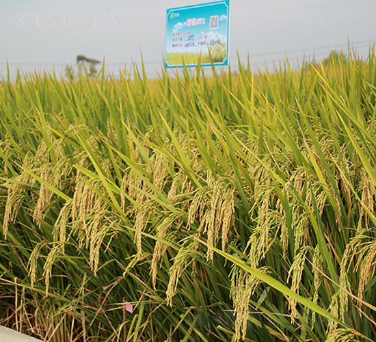 �Ƀ�(y��u)671-ˮ���N��-�S��(l��)�N�I(y��)