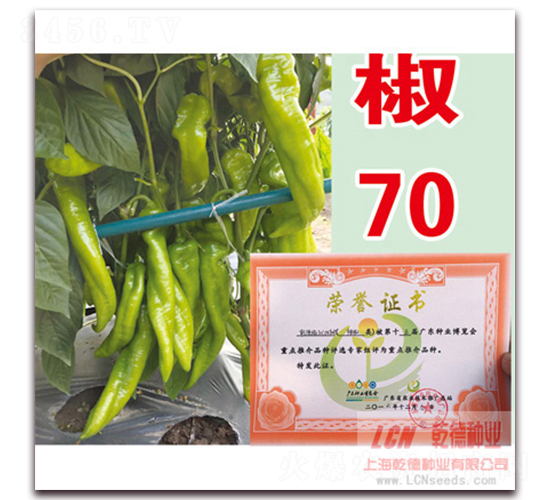 Ǭ�½�70-�����N��-Ǭ�·N�I(y��)