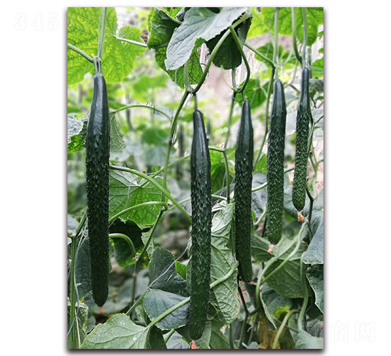 Ǭ��1702-�S�ϷN��-Ǭ�·N�I(y��)