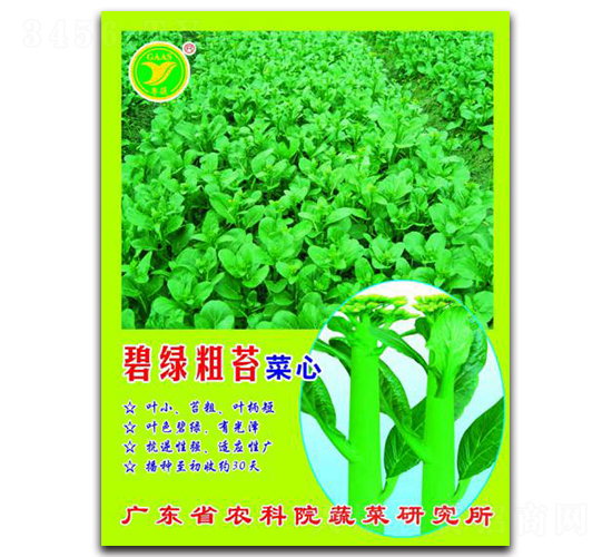 �̾G��̦-���ķN��-���r(n��ng)