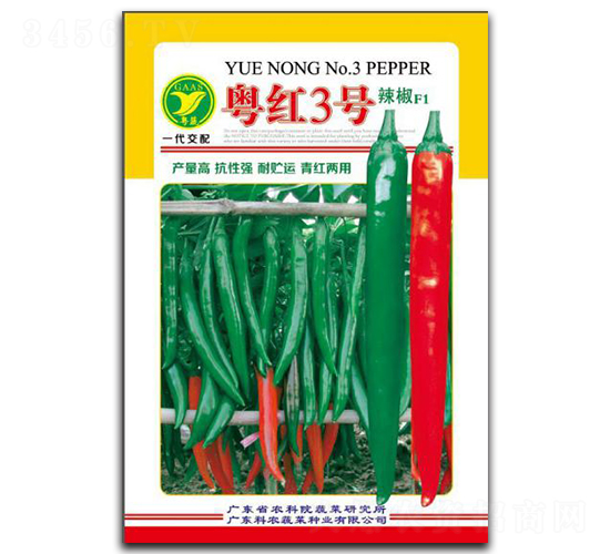 ���t3̖-�����N��-���r