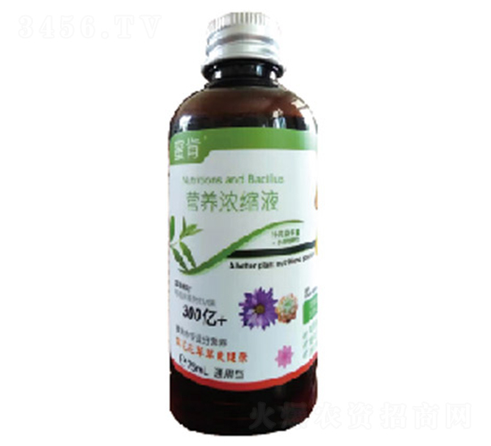 �I�B(y��ng)��sҺ-�и�����