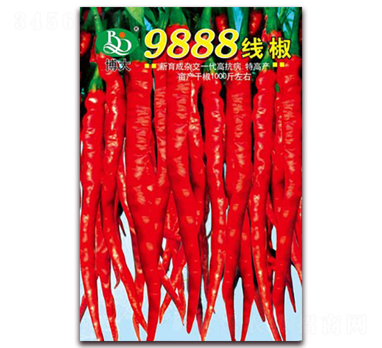 9888����-�����N��-�β���