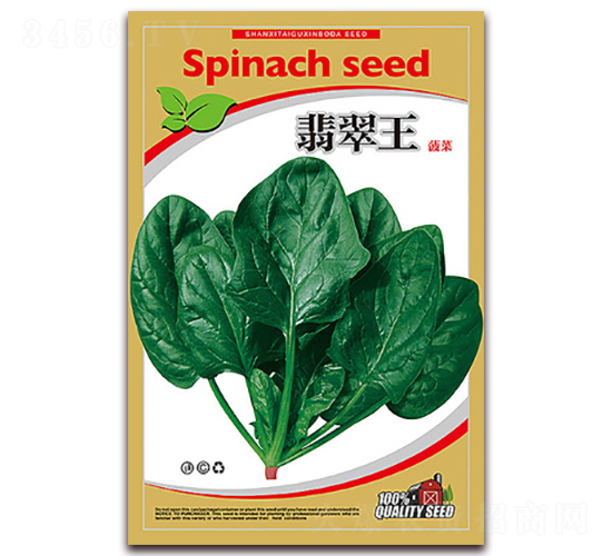 �����-���˷N��-�β���