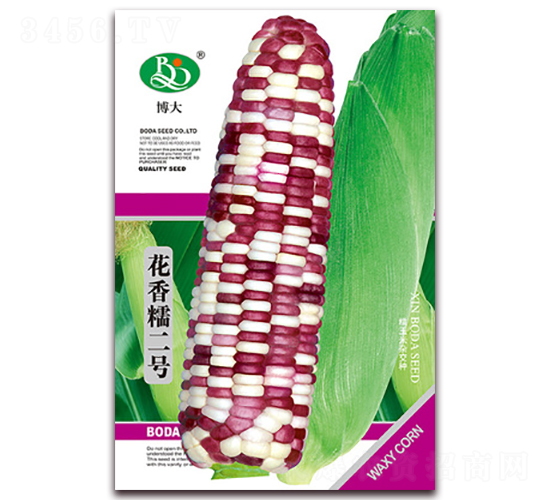 ����Ŵ��̖(h��o)-��Ŵ���׷N��-�β���