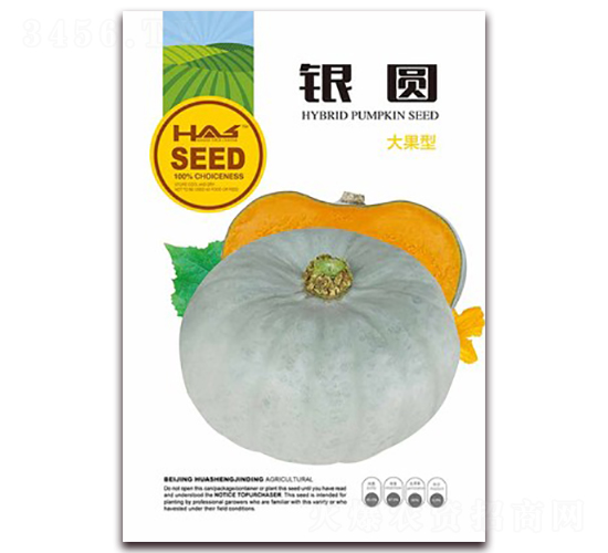 �y�A-�ϹϷN��-�β���