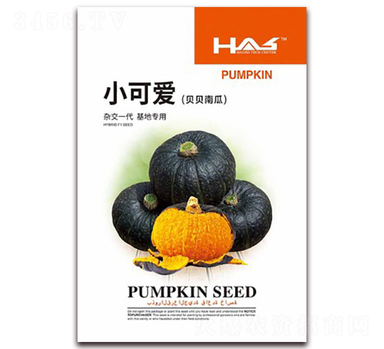 С�ɐ�ؐؐ�Ϲ�-�ϹϷN��-�β���