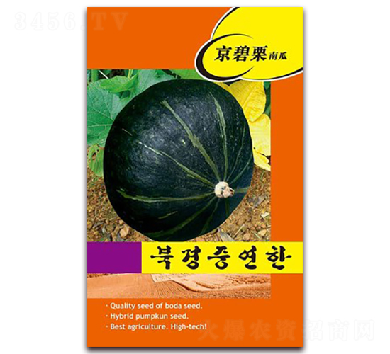 �������Ϲ�-�ϹϷN��-�β���