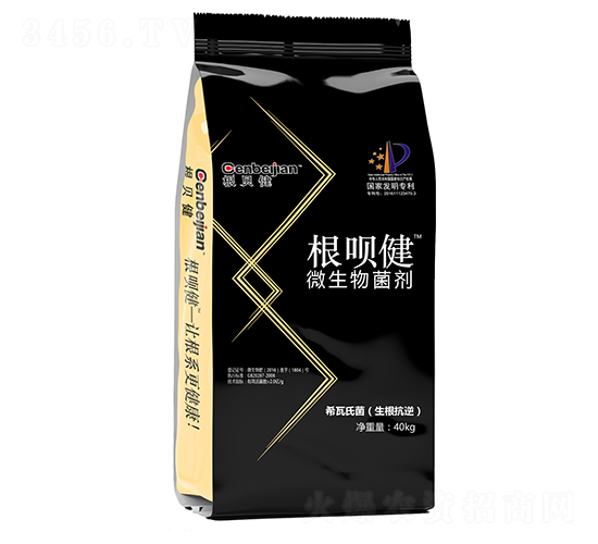 ΢��������w��-���h��-��ؐ��