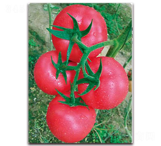 ����108-������ѷN��-���S��