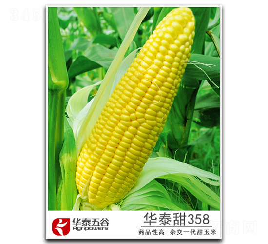 �A̩��358-�����׷N��-�A̩���