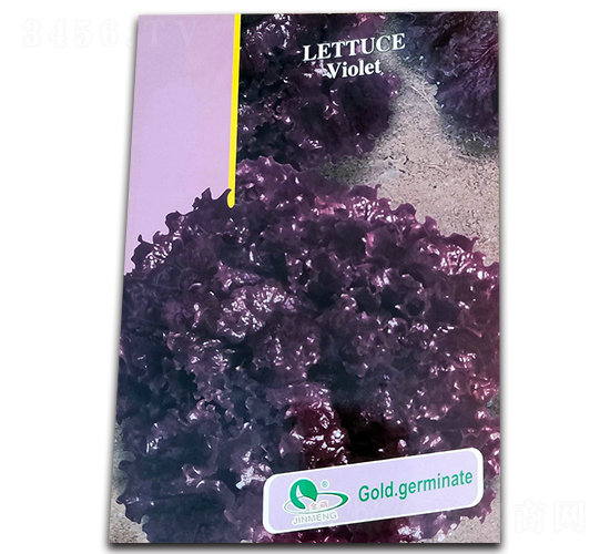 ���_�m-���˷N��-Ǭ���N�I(y��)