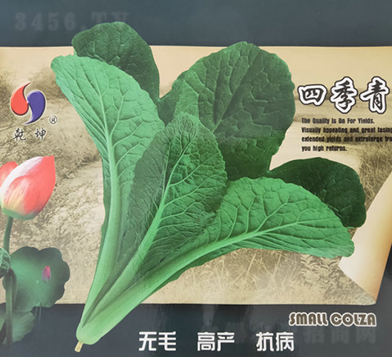 �ļ����-�ײ˷N��-Ǭ���N�I(y��)