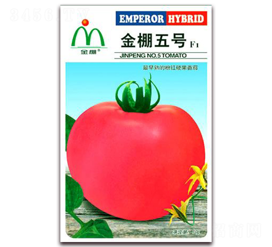 ������̖-�ۼt���ѷN��-���i