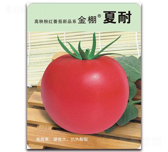 ��������-�ۼt���ѷN��-���i