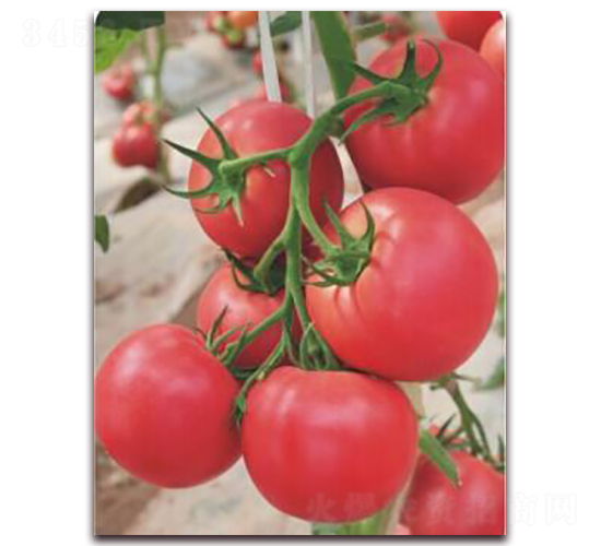 ����218-���ѷN��-���i