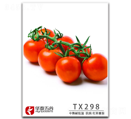 TM298-���ѷN��-�A̩���