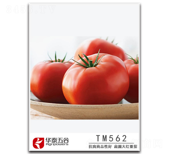 TM562-���ѷN��-�A̩���