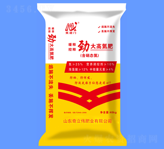 �Ŵ�ߵ���-������