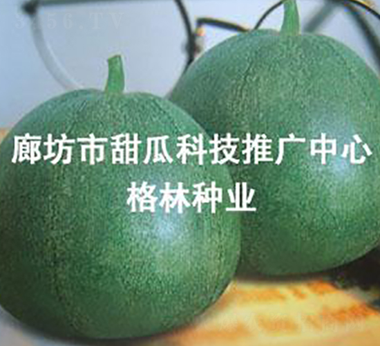 ����ʮһ-��ϷN��-����N�I(y��)