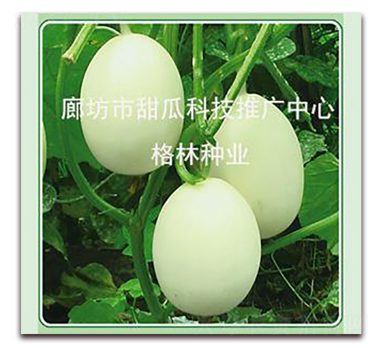 ���Ǵ���-��ϷN��-����N�I(y��)