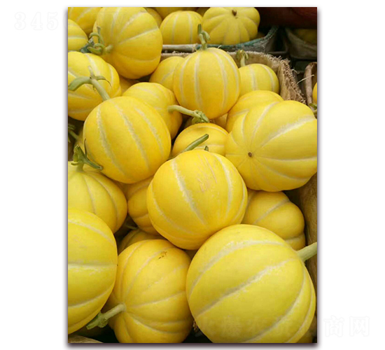 ���A958-��ϷN��-����N�I(y��)